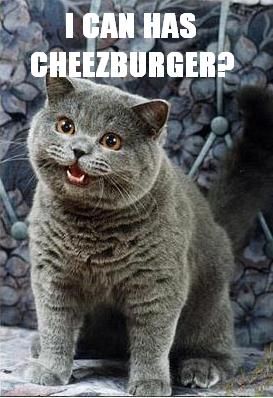 Cheezburger.jpg